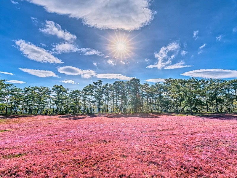 da-lat-4-8sLlP.jpg